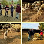 Edirne’de Genç Hayvancılık Üreticisine Destek Ziyareti