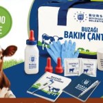 Bursa’da Büyükbaş Hayvan Yetiştiricilerine Yeni Destek