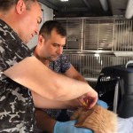 Balıkesir’de Can Dost Mobil Bakım Aracı 19 Ekim’de Savaştepe’de Hizmete Başlıyor
