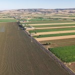 ADIYAMAN (PERRE) - Şeriban ÖZÇAKMAK - Adıyaman İl Özel İdaresi tarafından 2026 yılı yatırım programı kapsamında Besni ilçesinde yürütülen BSK sıcak asfalt çalışmalarında 50 kilometrelik hedefin 25.