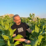 ADIYAMAN (PERRE) - (Şeriban ÖZÇAKMAK) - Kahta Ziraat Odası Başkanı Rüştü Turanlı ile Adıyaman Ticaret ve Sanayi Odası Meclis Başkanı ve Tarım Komisyonu Başkanı Abdulgani Bereket, badem fiyatlarındaki belirsizliğin gideri...