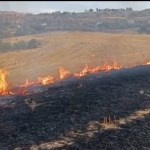 ADIYAMAN (PERRE) - Adıyaman'ın Besni ilçesinde, boş arazide çıkan anız yangını itfaiyenin müdahalesiyle kontrol altına alındı.