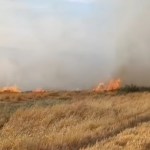 ADIYAMAN (PERRE) - Adıyaman'ın Besni ilçesinde, boş arazide çıkan anız yangını itfaiyenin müdahalesiyle kontrol altına alındı.