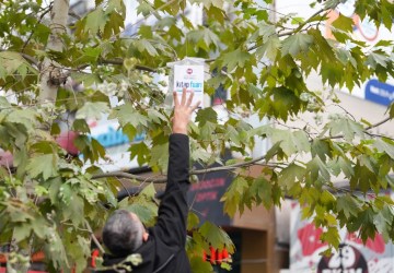 Kocaeli’de Kitap Fuarı Öncesi “Ağaçlar Kitap Açtı” Etkinliği