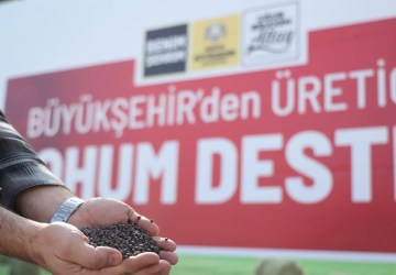 Konya’da Çiftçilere Yüzde 75 Hibeli Macar Fiği Desteği