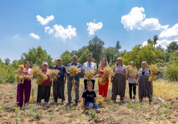Mersin’de Yerel Tohumların Geleceğe Taşınması İçin Çalışmalar Sürüyor