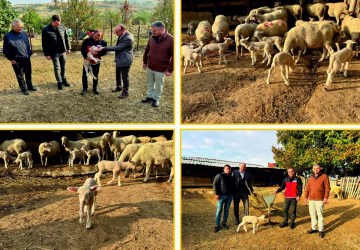 Edirne’de Genç Hayvancılık Üreticisine Destek Ziyareti