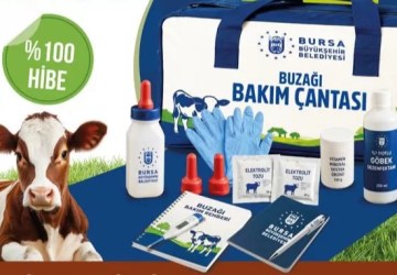 Bursa’da Büyükbaş Hayvan Yetiştiricilerine Yeni Destek