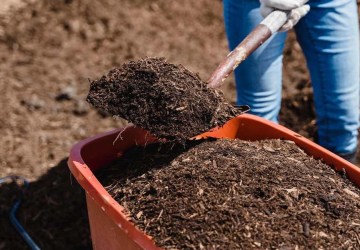 Tarım Girdi Fiyatlarında Yıllık Artış Yüzde 36,65’e Ulaştı