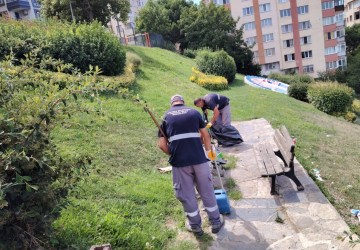 Maltepe’de Temizlik Çalışmaları Altıntepe’de Devam Ediyor