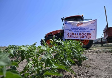 Ankara’dan Tarımda Biyolojik Mücadele Hamlesi