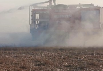 İpsala’da Anız Yangını Felaketi: Yüzlerce Dönüm Tarım Arazisi Zarar Gördü