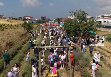 Çayırova’da Lavanta Hasadı Şenliği Renkli Anlara Sahne Oldu