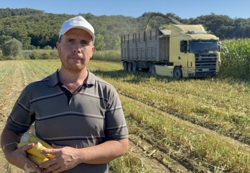 Kocaeli’de Yüzde 75 Hibeli Tohumlar Tarlalarda Ürüne Dönüştü