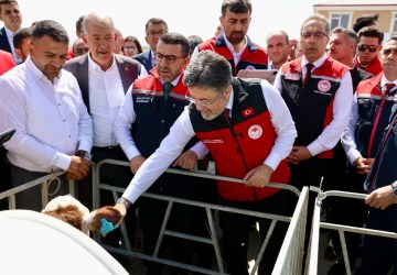 Büyükbaş Hayvanlara Dijital Kimlik: GEKİS Kars’ta Başladı