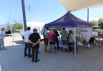 İzmir’de Efes Selçuklu İncir Üreticilerine Büyükşehir Desteği