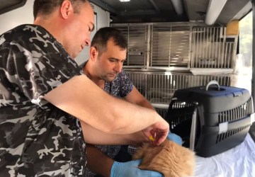 Balıkesir’de Can Dost Mobil Bakım Aracı 19 Ekim’de Savaştepe’de Hizmete Başlıyor