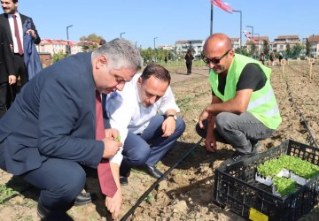 Bornova’nın Kent Bostanı Projesi Yalova’ya Örnek Oldu