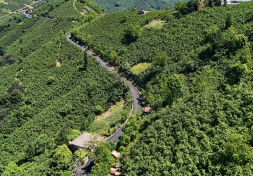 Ordu’da Kırsal Ulaşım Güçleniyor