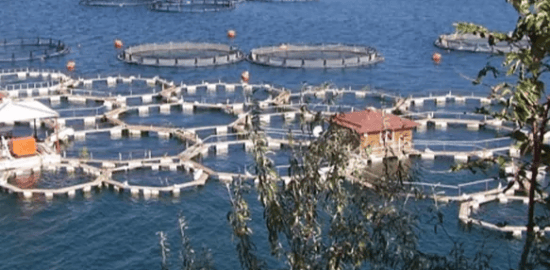IPARD III’ten 95 Projeye 1,2 Milyar Liralık Hibe Desteği