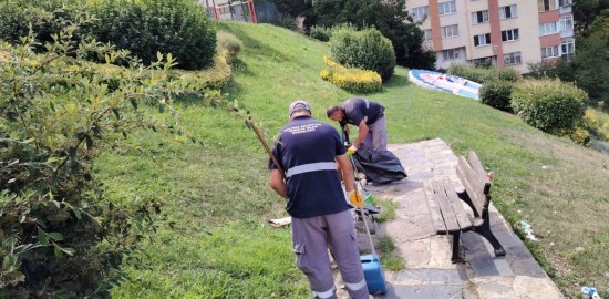 Maltepe’de Temizlik Çalışmaları Altıntepe’de Devam Ediyor