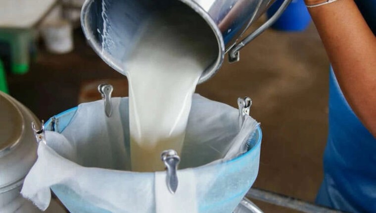 Ticari Süt Toplama Miktarı Haziran’da Yüzde 6,5 Arttı