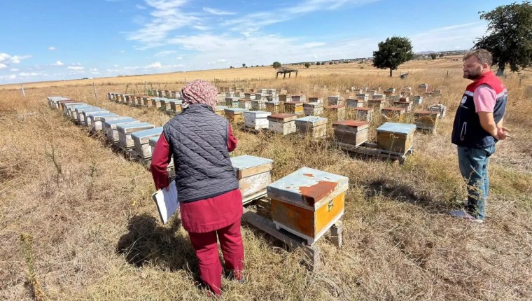İpsala’da Tarımsal Üretime Yönelik Denetimler Sürüyor