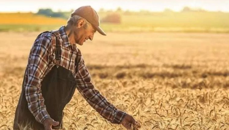 Tarım ÜFE Eylül’de Aylık Bazda Geriledi