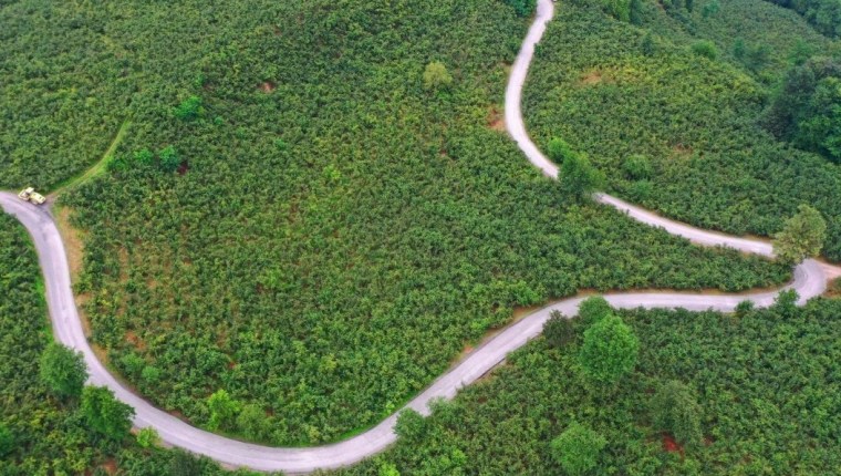 Ulubey’de 7 Kilometrelik Güzergah Asfaltlandı
