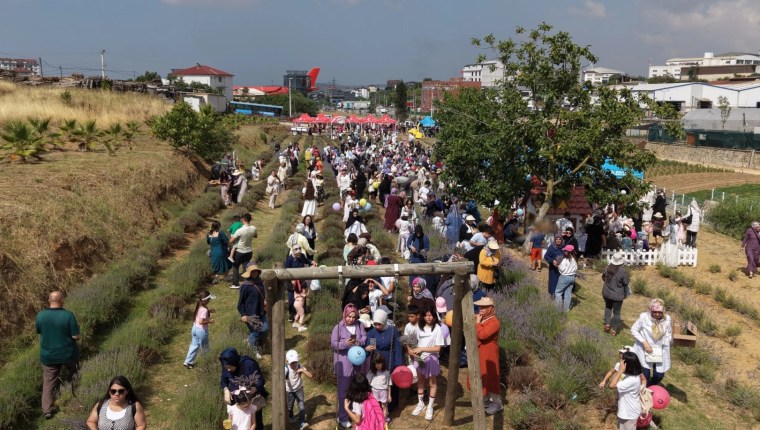 Çayırova’da Lavanta Hasadı Şenliği Renkli Anlara Sahne Oldu