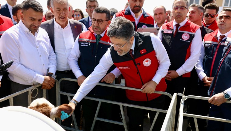 Büyükbaş Hayvanlara Dijital Kimlik: GEKİS Kars’ta Başladı