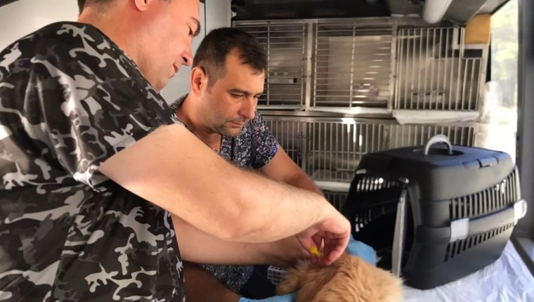 Balıkesir’de Can Dost Mobil Bakım Aracı 19 Ekim’de Savaştepe’de Hizmete Başlıyor