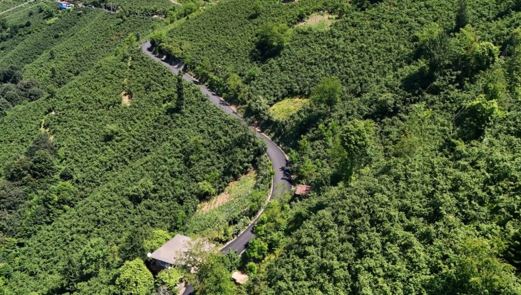 Ordu’da Kırsal Ulaşım Güçleniyor