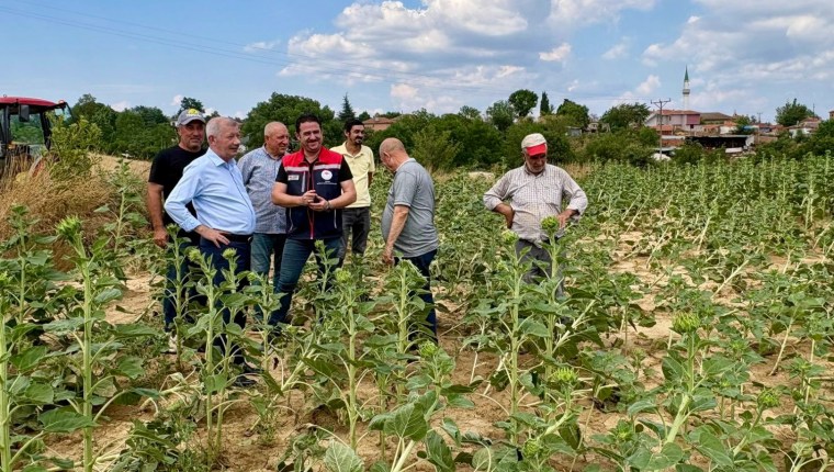 Keşan’da Fırtına ve Yağış Tarımı Vurdu: Hasar Tespiti Yapıldı