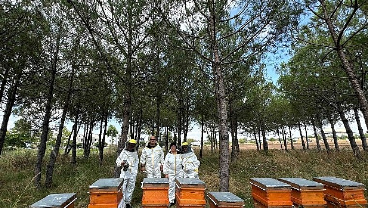Bilinçli üretim, Kocaeli'nin balını Türkiye'ye taşıyor