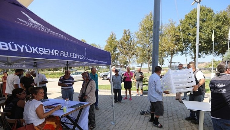 İzmir Büyükşehir Belediyesi'nden Efes Selçuklu İncir Üreticisine Destek