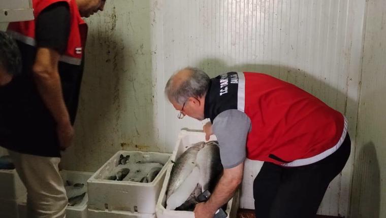 Adıyaman'da su ürünleri denetimleri başladı