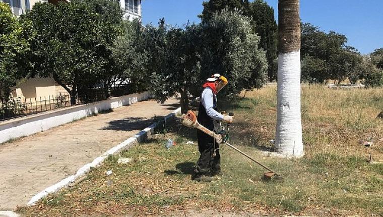 Didim Belediyesi'nden Kente Özenli Dokunuş: Kendi Üretimi Çiçekler Toprakla Buluşuyor