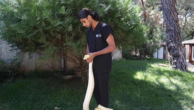 Doğal Yaşam Parkı'nda dünya yılan günü etkinliği