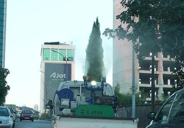 Maltepe'de İlaçlama Çalışması Hız Kesmiyor