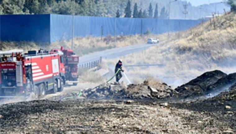 İzmir İtfaiyesi bukalemunu hayata döndürdü