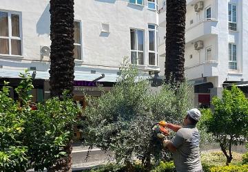 Büyükşehir ekiplerinden Kemer Liman Caddesi'nde çalışma
