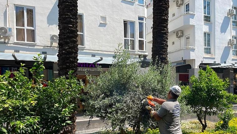 Büyükşehir ekiplerinden Kemer Liman Caddesi'nde çalışma