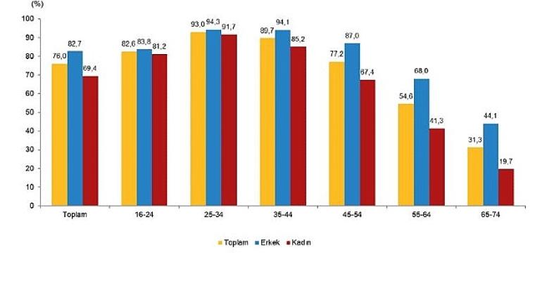 Hanehalkı Bilişim Teknolojileri Kullanım Araştırması, 2026