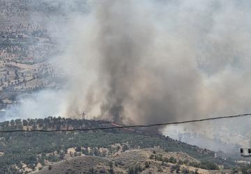 Adıyaman’da ormanlık alanda yangın - Videolu Haber