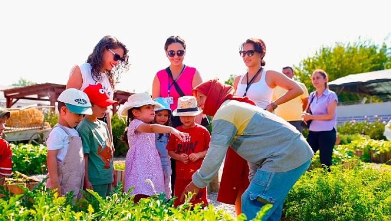 Didim Belediyesi Tarım Parkı'nda Minikler Hasat Deneyimi Yaşadı