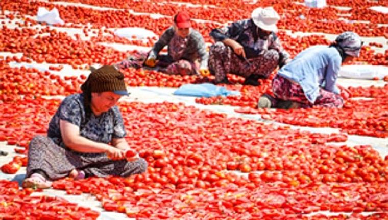 Torbalı'nın kuru domates emekçileri yalnız bırakılmadı