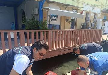 Yasa Dışı Kara Midye Avcılığına Geçit Yok