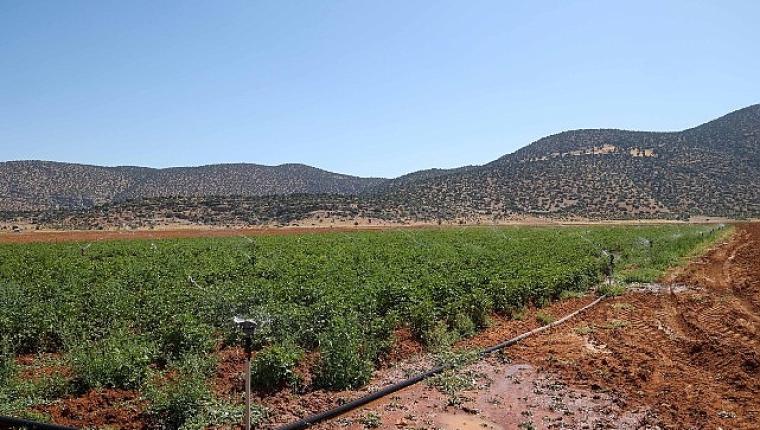 “İyileştiren Ellerden Rengârenk İzler" Sergisi Sanatseverlerle Buluştu