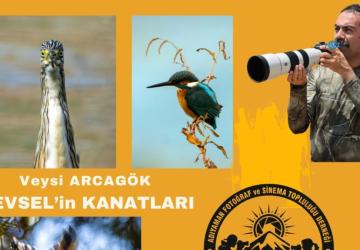 Adıyaman’da ‘Hevsel’in Kanatları’ fotoğraf sunumu sanatseverlerle buluşacak
